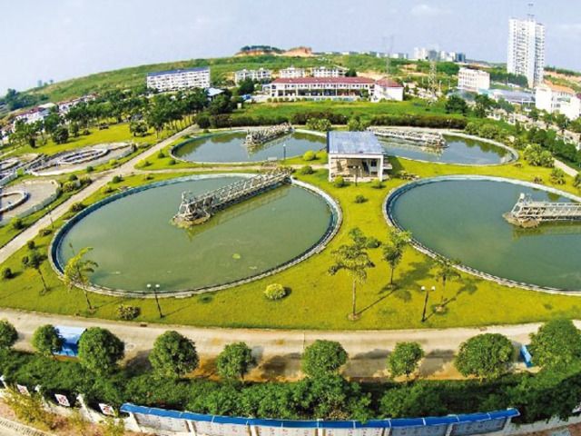 PPLV高效杀菌灭藻剂